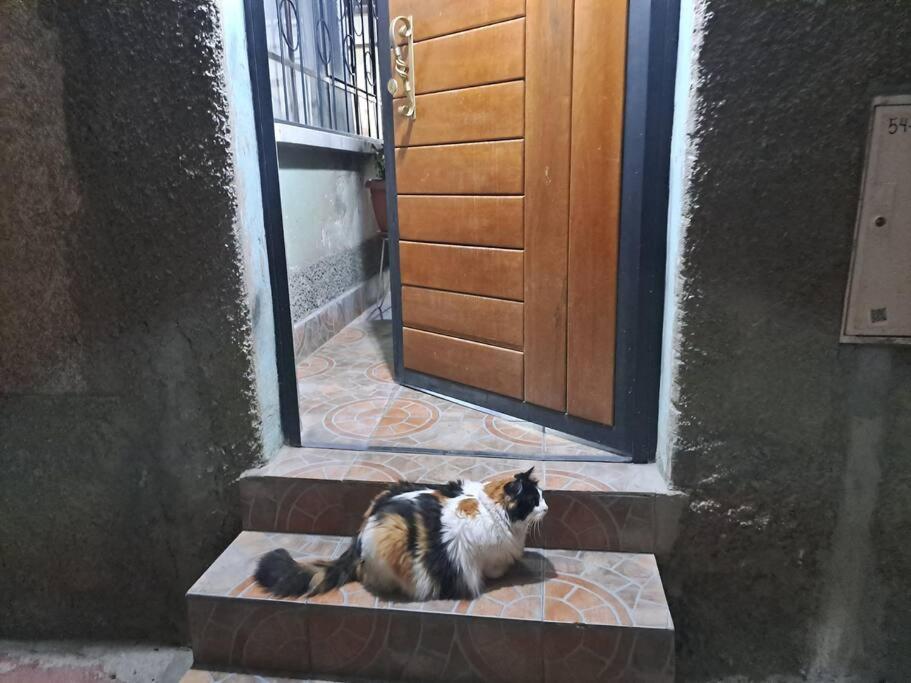 Garzonier Céntrico Sopocachi Y Tranquilas La Paz